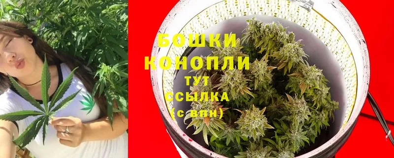 МАРИХУАНА THC 21%  купить   Нефтеюганск 